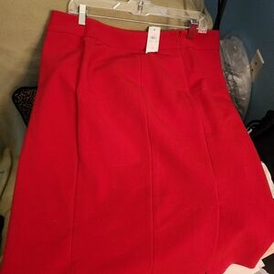 Ann Taylor Skirt